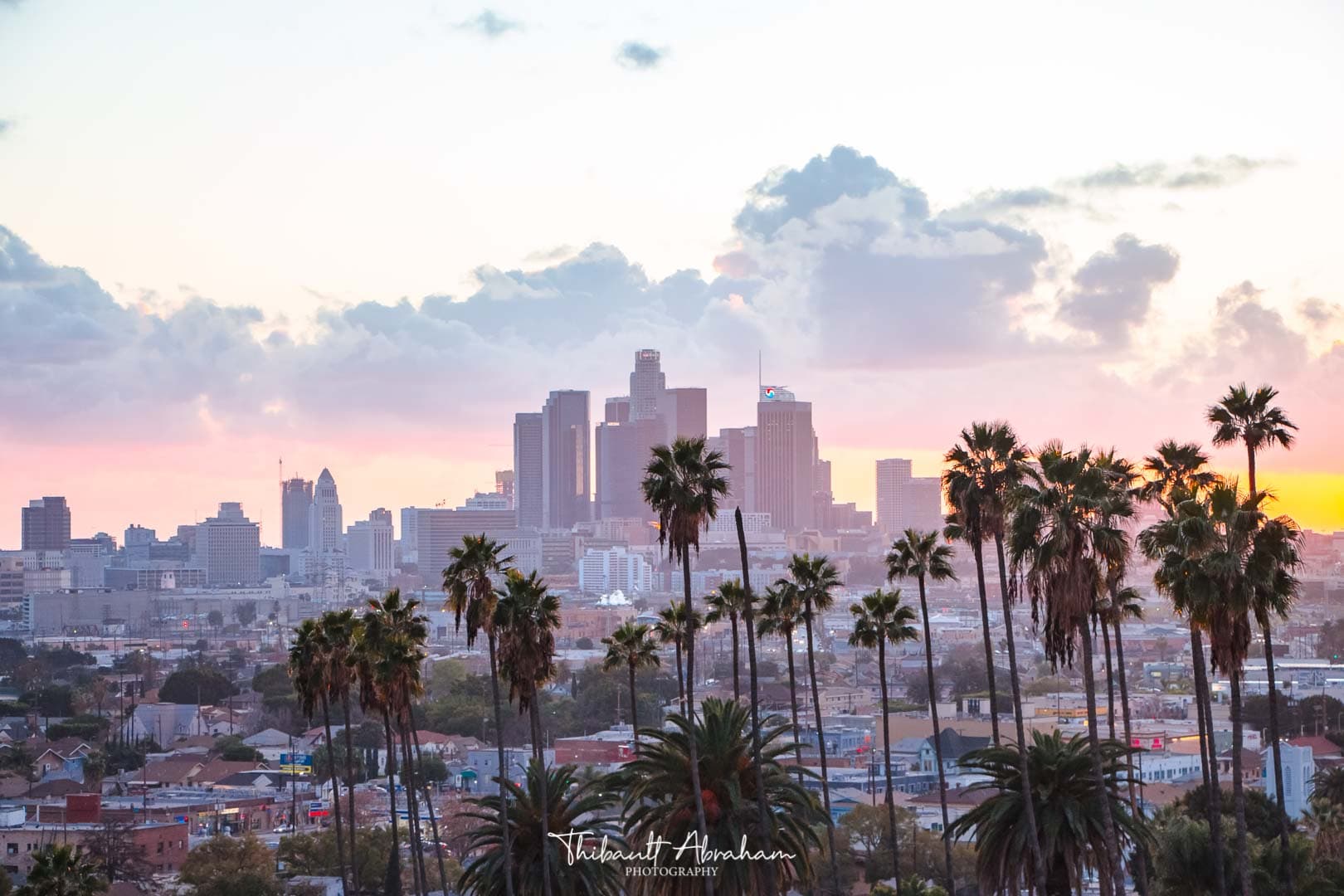 Panorama au moment du coucher de soleil de la ville de Los Angeles et ses palmiers iconiques